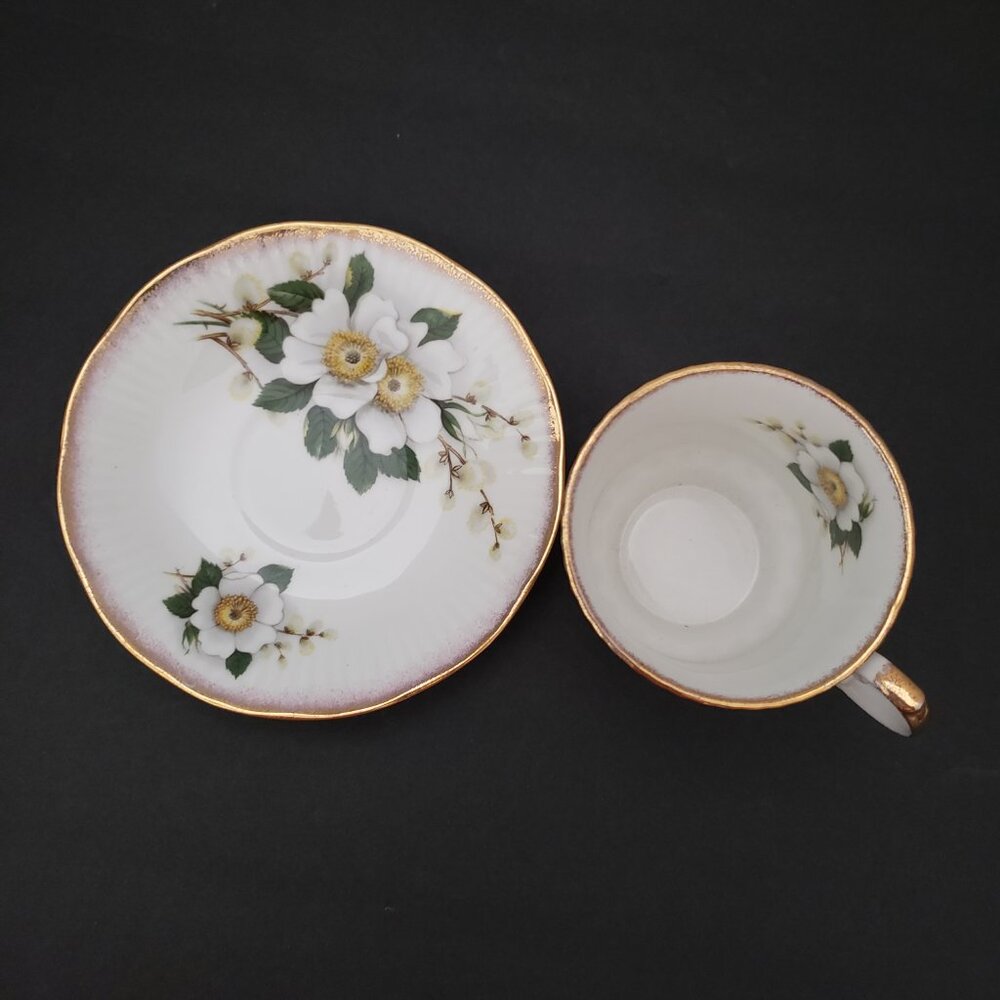 VTG 1975 Queen's Fine Bone China Floral Tea Cup & Saucer By Rosina China - Picture 4 of 10